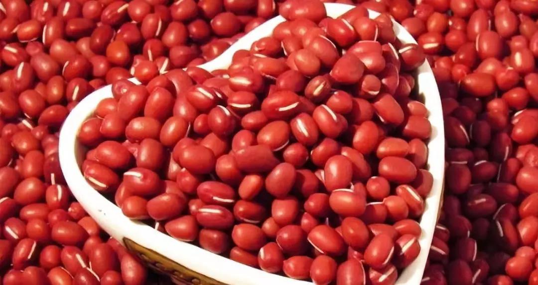 【綠色與健康】秋冬養(yǎng)生，有了這些妙招，輕松搞定！男女老少通用