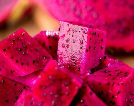 綠博會：火龍果是女性“不老果”，聰明的人連果皮也不浪費