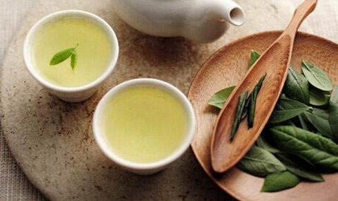 綠色有機(jī)食品展：氮元素影響茶葉中代謝物積累和基因表達(dá)?