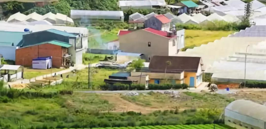 【農(nóng)業(yè)政策資訊】為什么農(nóng)村年輕人越來越少，國(guó)家卻要振興農(nóng)村？