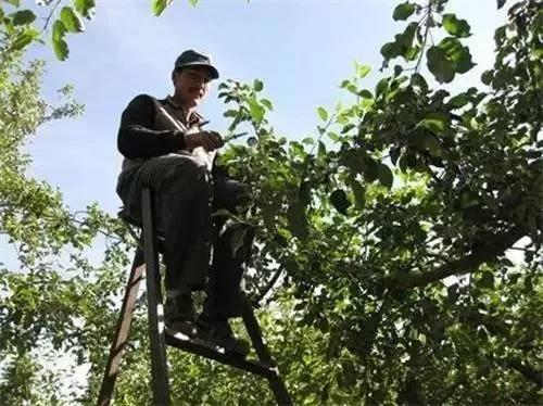 【綠色好心情】都說IT人累？農(nóng)業(yè)人：我們連996都沒有！