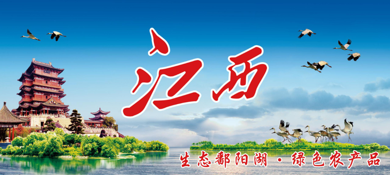 【展團風采】江西省“生態(tài)鄱陽湖 綠色農(nóng)產(chǎn)品”品牌唱響粵港澳大灣區(qū)