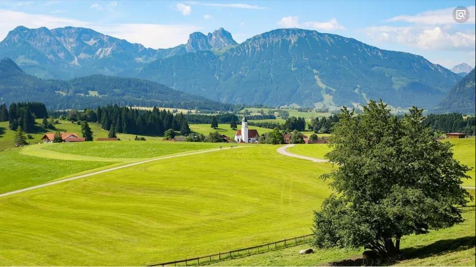 【農(nóng)業(yè)雜談】我國農(nóng)業(yè)未來發(fā)展的方向是綠色農(nóng)業(yè)而非有機農(nóng)業(yè)