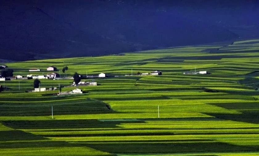 【農(nóng)業(yè)政策資訊】中央財政助農(nóng)業(yè)綠色發(fā)展，這才是未來農(nóng)業(yè)發(fā)展方向！