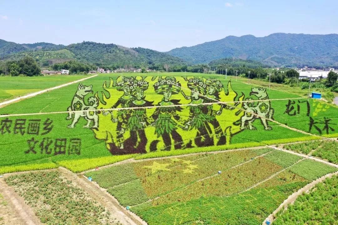 【農(nóng)業(yè)雜談】新中國成立70周年農(nóng)業(yè)生產(chǎn)發(fā)展成就一覽