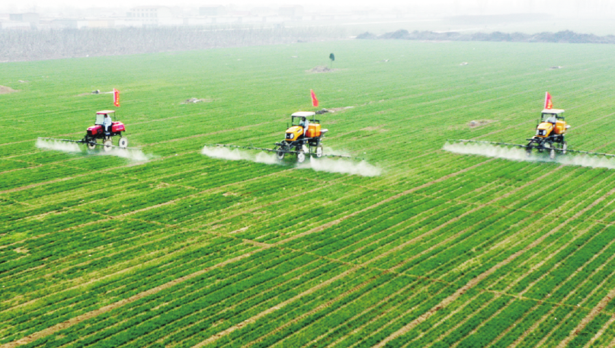 【全球疫情報(bào)告】除了疫情，影響世界各國(guó)農(nóng)業(yè)的痛點(diǎn)還有哪些？