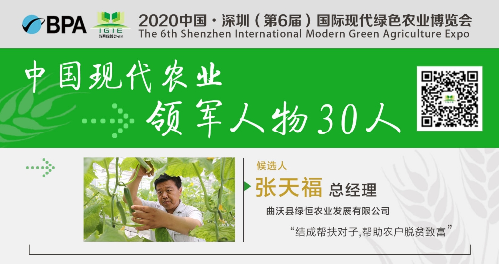 【現(xiàn)代農(nóng)業(yè)領(lǐng)軍人物30人】張?zhí)旄！怨ご俎r(nóng)產(chǎn)業(yè)興，脫貧致富生態(tài)優(yōu)