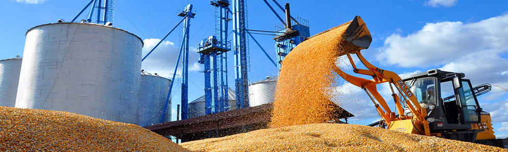 【展商風(fēng)采】北大荒農(nóng)墾集團(tuán)重磅“來襲”深圳綠博會(huì)！