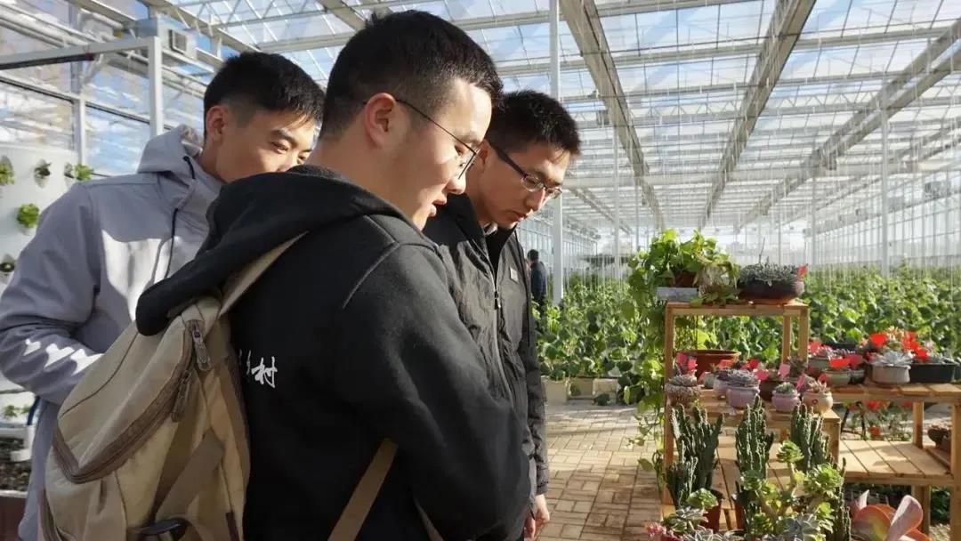 【農(nóng)業(yè)投資雜談】社會資本將投資農(nóng)業(yè)農(nóng)村這幾個領(lǐng)域，愿與你有關(guān)