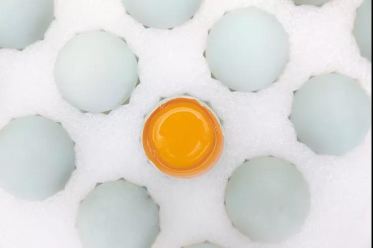 【展商風(fēng)采】林間散養(yǎng)雞蛋，香嫩不噎人，讓你吃出童年的味道！