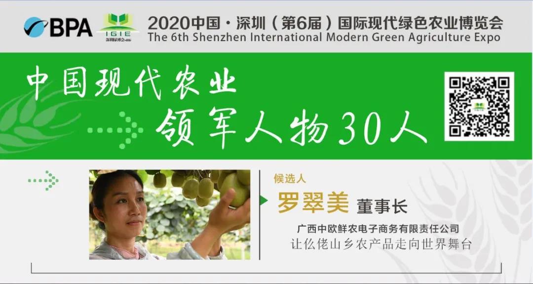 【現(xiàn)代農業(yè)領軍人物30人】羅翠美——農家女娃勇闖商海帶領鄉(xiāng)親電商致富