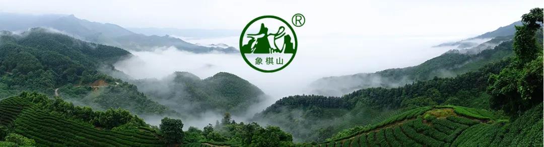 【每周優(yōu)品】原始生態(tài)，自然有機——象棋山有機茶