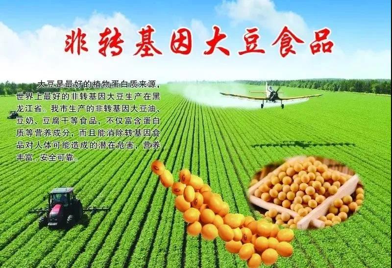 【綠博會動態(tài)】 黑龍江美麗”麻山”已簽約亮相第七屆深圳綠博會，展示不一樣的綠色食品 ！