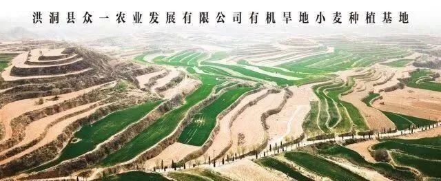 【展商風(fēng)采】健康為天，飲食為先，品質(zhì)出眾，始終如一