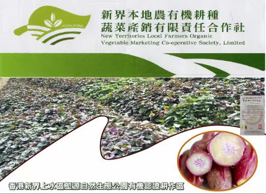 【每周優(yōu)品】香港本地紅薯——好吃不貴，營養(yǎng)豐富！